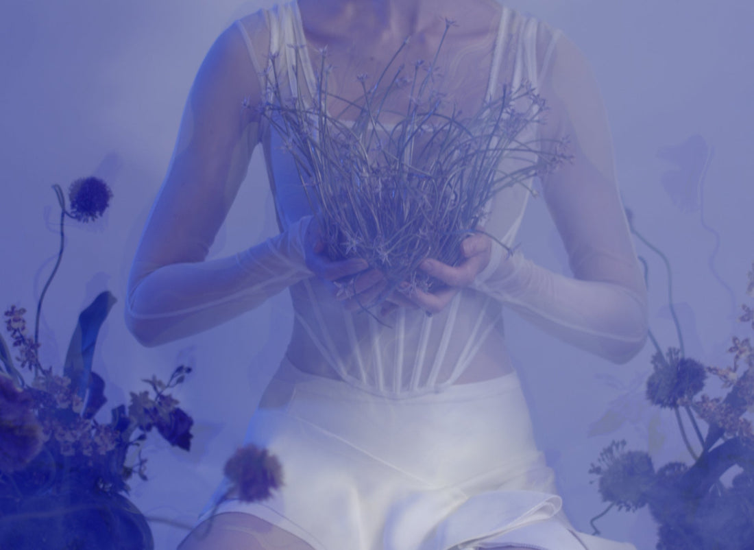 Herbalism: Dream Herbs