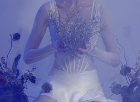 Herbalism: Dream Herbs