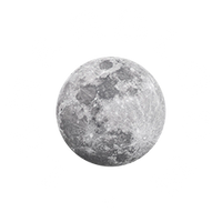 Lunar Bloom  